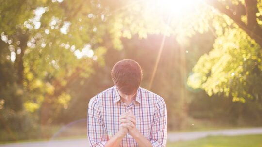 photo of man kneeling on grass near tree